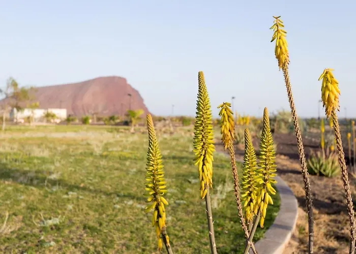 Апартаменты Luxury *