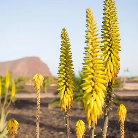 Apartment Luxury La Tejita